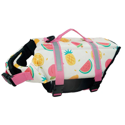 Gilet de Sauvetage pour Chien | AquaChien™