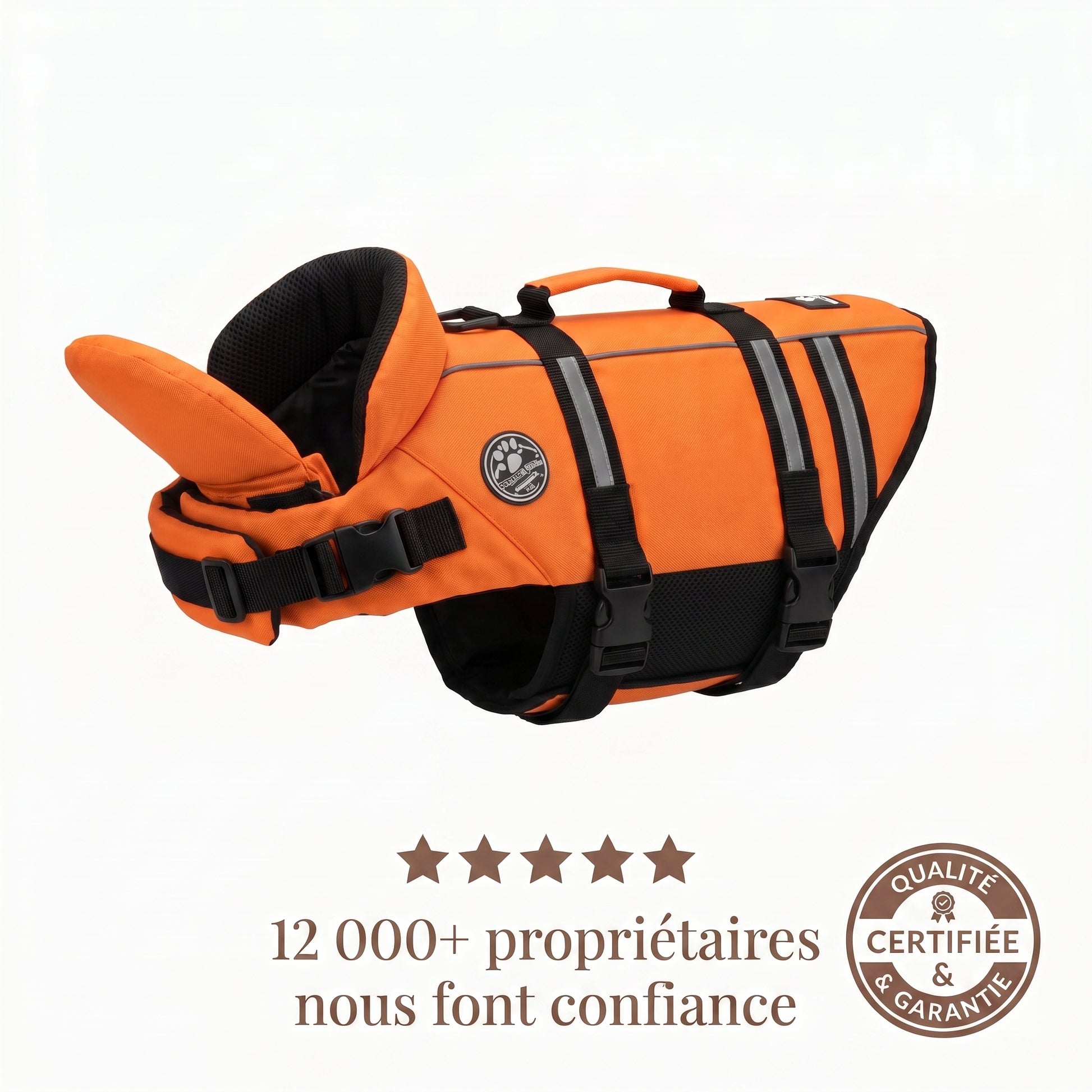 Chien profitant de la baignade avec le gilet de sauvetage AquaChien Maison du Sourire