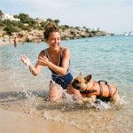 Gilet de sauvetage chien plage