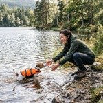 Gilet sauvetage chien lac